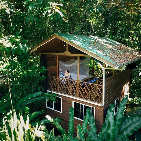 Palmar Beach Lodge Bocas del Toro Exteriér fotografie