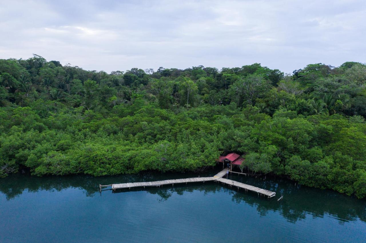 Palmar Beach Lodge Bocas del Toro Exteriér fotografie