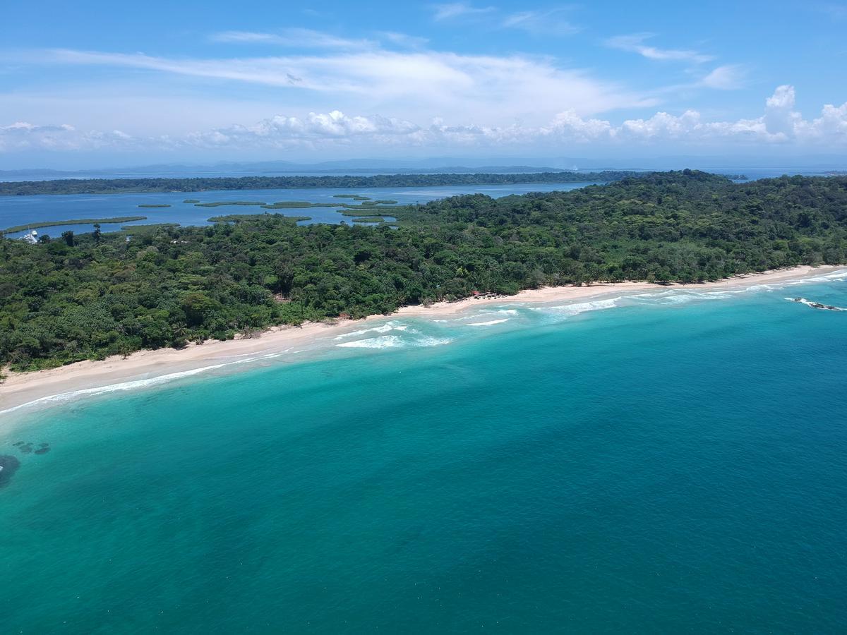 Palmar Beach Lodge Bocas del Toro Exteriér fotografie