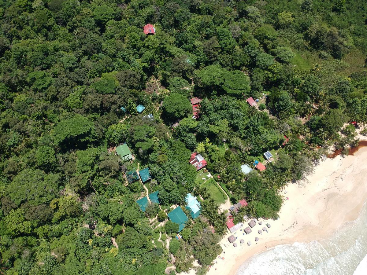 Palmar Beach Lodge Bocas del Toro Exteriér fotografie